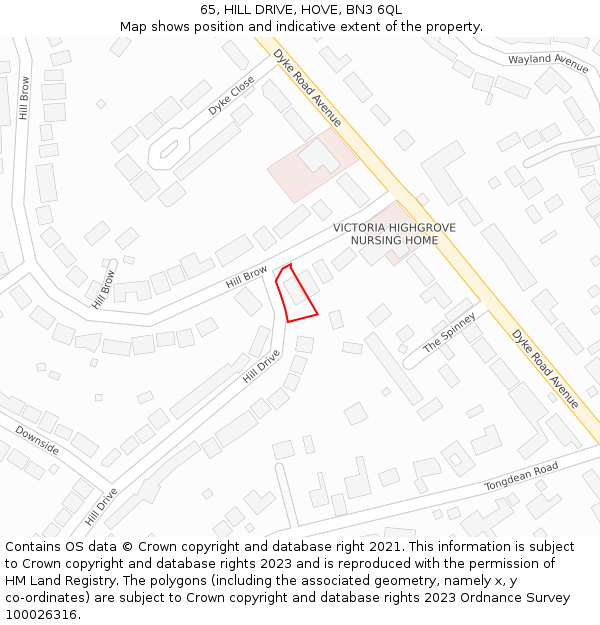 65, HILL DRIVE, HOVE, BN3 6QL: Location map and indicative extent of plot