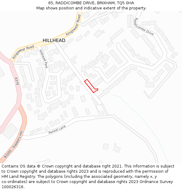 65, RADDICOMBE DRIVE, BRIXHAM, TQ5 0HA: Location map and indicative extent of plot