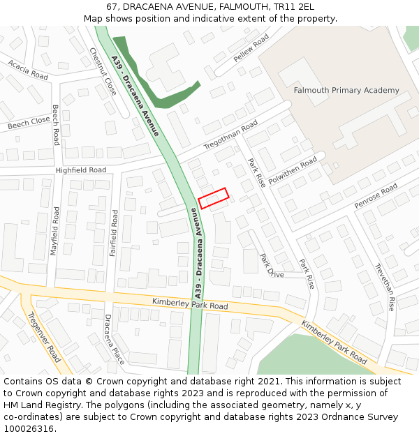 67, DRACAENA AVENUE, FALMOUTH, TR11 2EL: Location map and indicative extent of plot