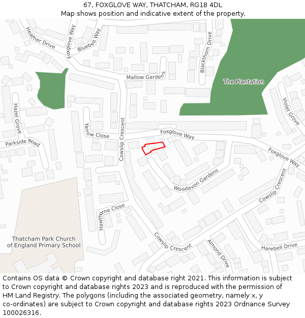 67, FOXGLOVE WAY, THATCHAM, RG18 4DL: Location map and indicative extent of plot