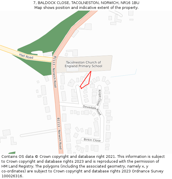 7, BALDOCK CLOSE, TACOLNESTON, NORWICH, NR16 1BU: Location map and indicative extent of plot