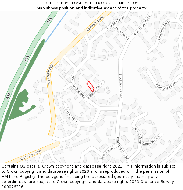 7, BILBERRY CLOSE, ATTLEBOROUGH, NR17 1QS: Location map and indicative extent of plot