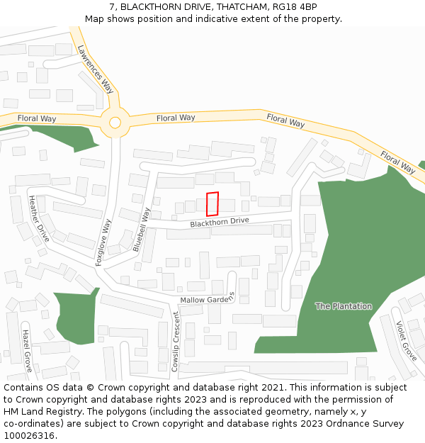 7, BLACKTHORN DRIVE, THATCHAM, RG18 4BP: Location map and indicative extent of plot