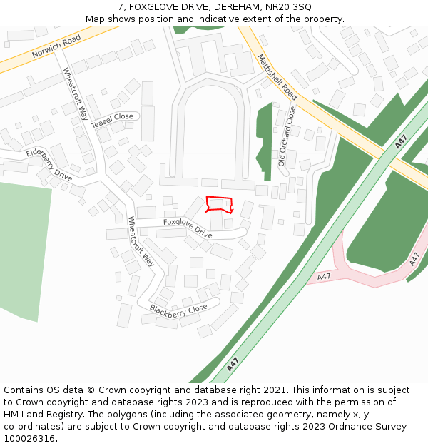 7, FOXGLOVE DRIVE, DEREHAM, NR20 3SQ: Location map and indicative extent of plot