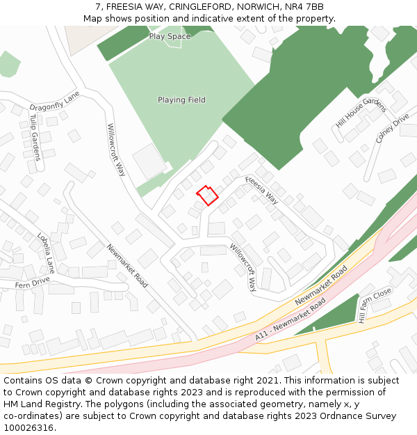 7, FREESIA WAY, CRINGLEFORD, NORWICH, NR4 7BB: Location map and indicative extent of plot