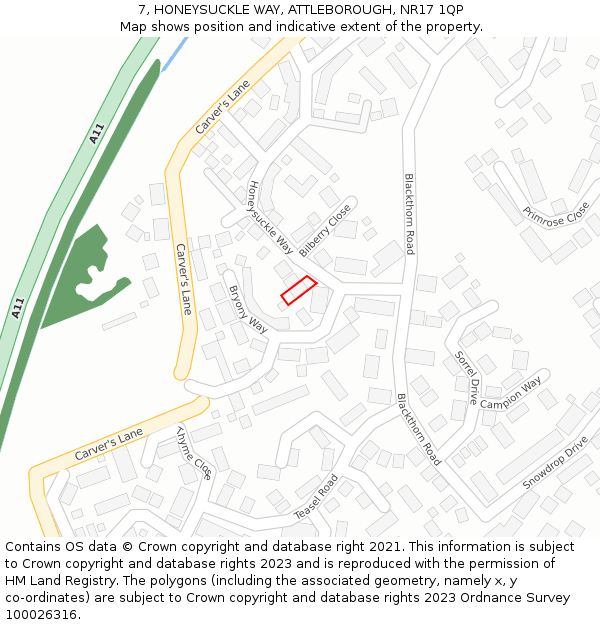 7, HONEYSUCKLE WAY, ATTLEBOROUGH, NR17 1QP: Location map and indicative extent of plot