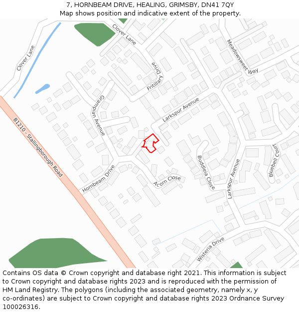 7, HORNBEAM DRIVE, HEALING, GRIMSBY, DN41 7QY: Location map and indicative extent of plot