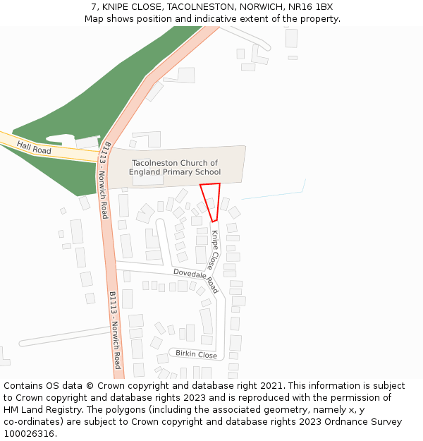 7, KNIPE CLOSE, TACOLNESTON, NORWICH, NR16 1BX: Location map and indicative extent of plot