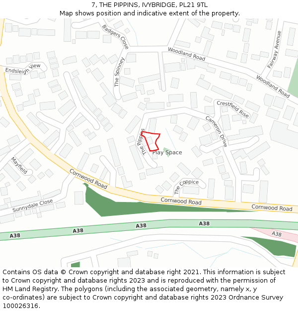 7, THE PIPPINS, IVYBRIDGE, PL21 9TL: Location map and indicative extent of plot