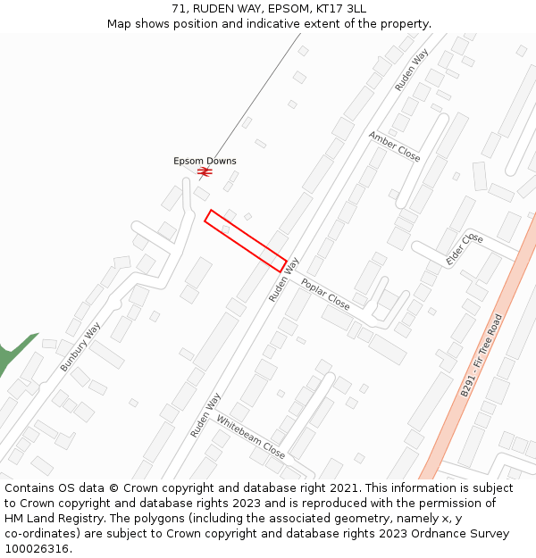 71, RUDEN WAY, EPSOM, KT17 3LL: Location map and indicative extent of plot