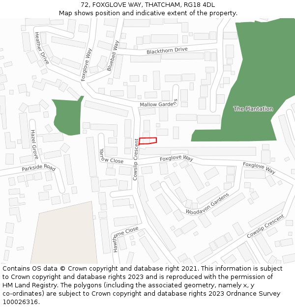 72, FOXGLOVE WAY, THATCHAM, RG18 4DL: Location map and indicative extent of plot