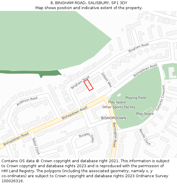 8, BINGHAM ROAD, SALISBURY, SP1 3DY: Location map and indicative extent of plot