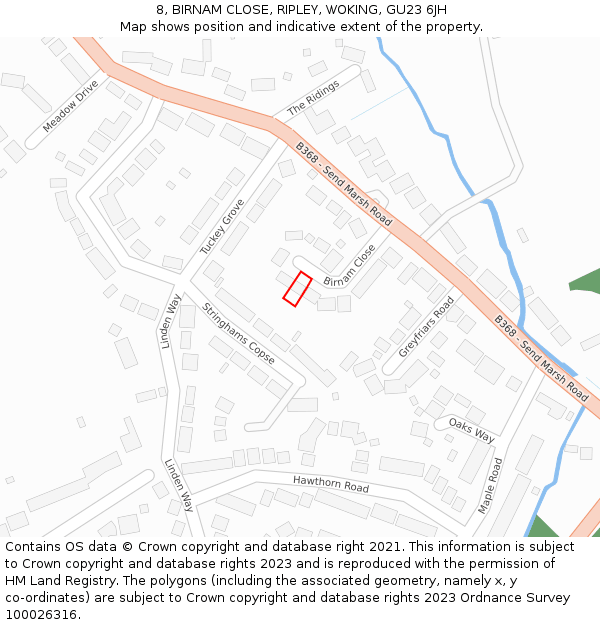 8, BIRNAM CLOSE, RIPLEY, WOKING, GU23 6JH: Location map and indicative extent of plot