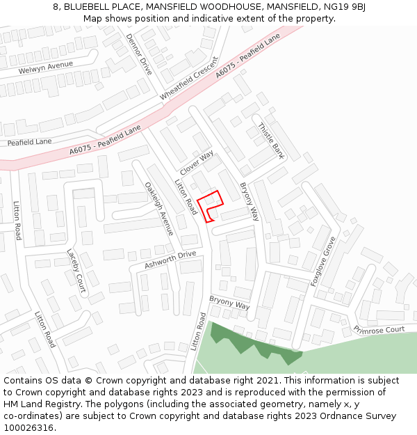 8, BLUEBELL PLACE, MANSFIELD WOODHOUSE, MANSFIELD, NG19 9BJ: Location map and indicative extent of plot