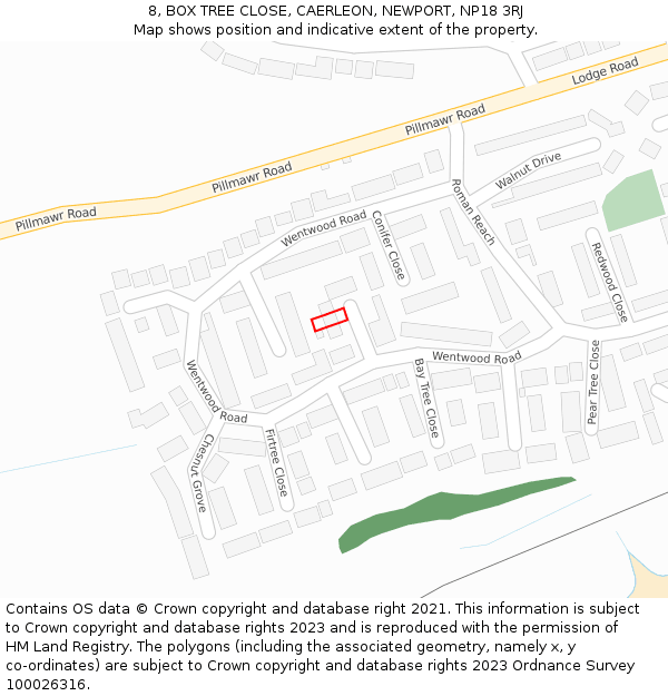 8, BOX TREE CLOSE, CAERLEON, NEWPORT, NP18 3RJ: Location map and indicative extent of plot