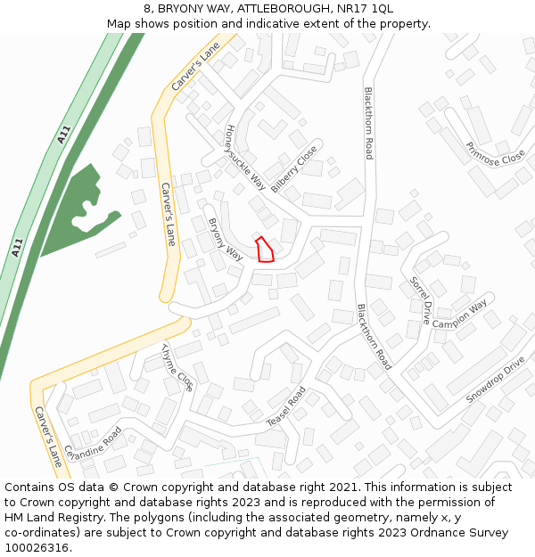 8, BRYONY WAY, ATTLEBOROUGH, NR17 1QL: Location map and indicative extent of plot