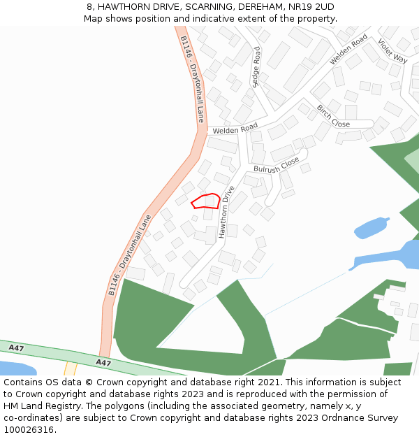 8, HAWTHORN DRIVE, SCARNING, DEREHAM, NR19 2UD: Location map and indicative extent of plot