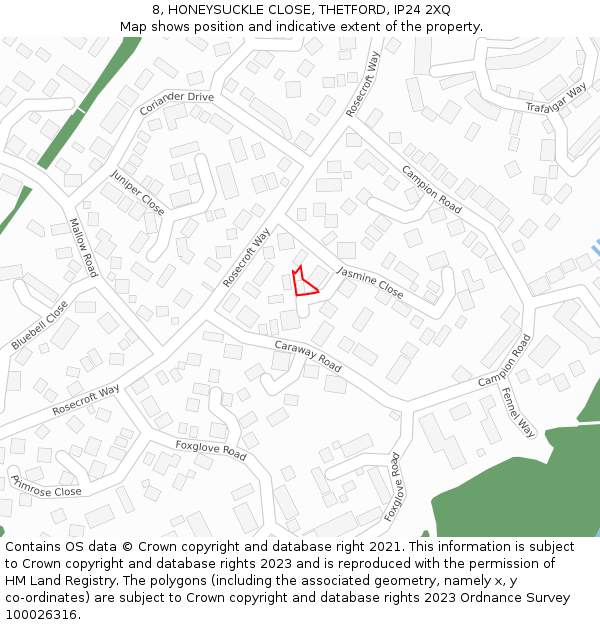 8, HONEYSUCKLE CLOSE, THETFORD, IP24 2XQ: Location map and indicative extent of plot