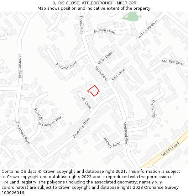 8, IRIS CLOSE, ATTLEBOROUGH, NR17 2PR: Location map and indicative extent of plot