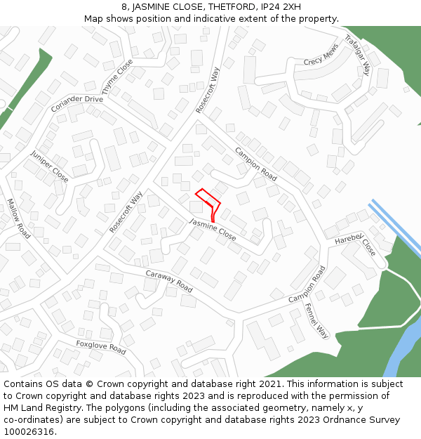 8, JASMINE CLOSE, THETFORD, IP24 2XH: Location map and indicative extent of plot