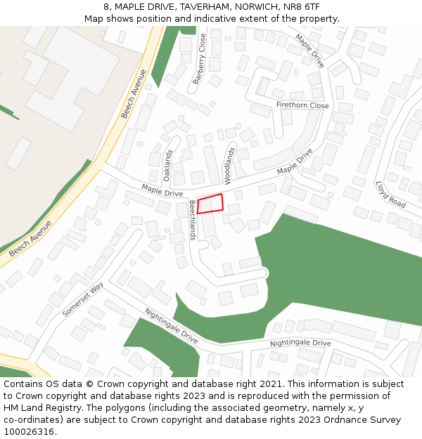 8, MAPLE DRIVE, TAVERHAM, NORWICH, NR8 6TF: Location map and indicative extent of plot