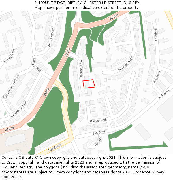 8, MOUNT RIDGE, BIRTLEY, CHESTER LE STREET, DH3 1RY: Location map and indicative extent of plot