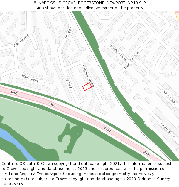 8, NARCISSUS GROVE, ROGERSTONE, NEWPORT, NP10 9LP: Location map and indicative extent of plot