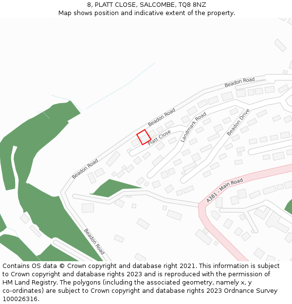 8, PLATT CLOSE, SALCOMBE, TQ8 8NZ: Location map and indicative extent of plot