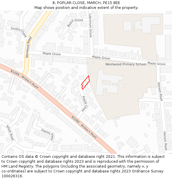 8, POPLAR CLOSE, MARCH, PE15 8EE: Location map and indicative extent of plot