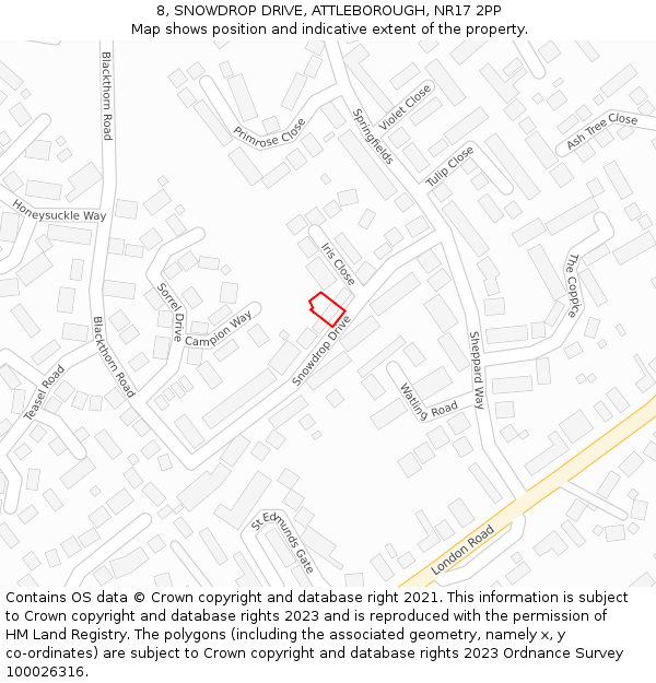 8, SNOWDROP DRIVE, ATTLEBOROUGH, NR17 2PP: Location map and indicative extent of plot