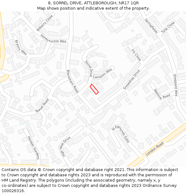 8, SORREL DRIVE, ATTLEBOROUGH, NR17 1QR: Location map and indicative extent of plot