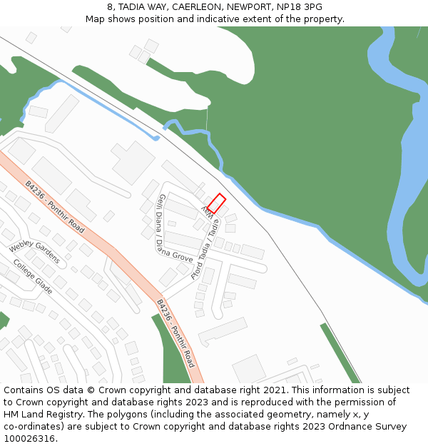 8, TADIA WAY, CAERLEON, NEWPORT, NP18 3PG: Location map and indicative extent of plot