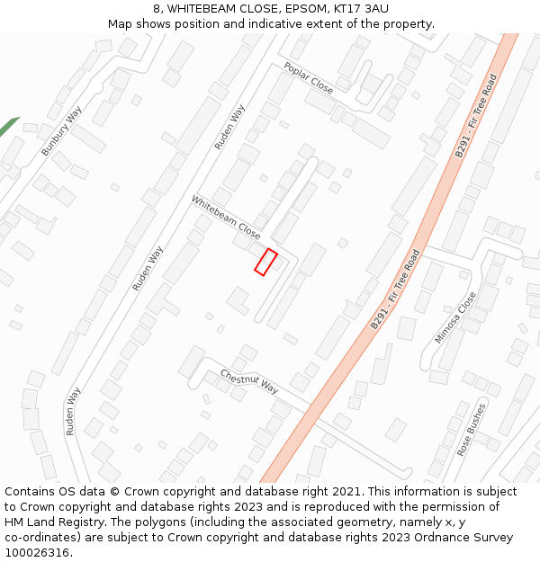 8, WHITEBEAM CLOSE, EPSOM, KT17 3AU: Location map and indicative extent of plot