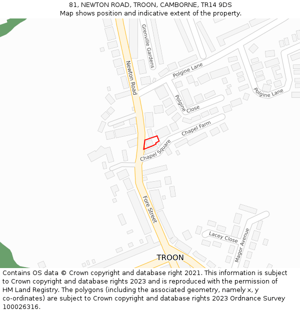 81, NEWTON ROAD, TROON, CAMBORNE, TR14 9DS: Location map and indicative extent of plot