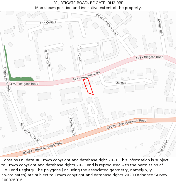 81, REIGATE ROAD, REIGATE, RH2 0RE: Location map and indicative extent of plot