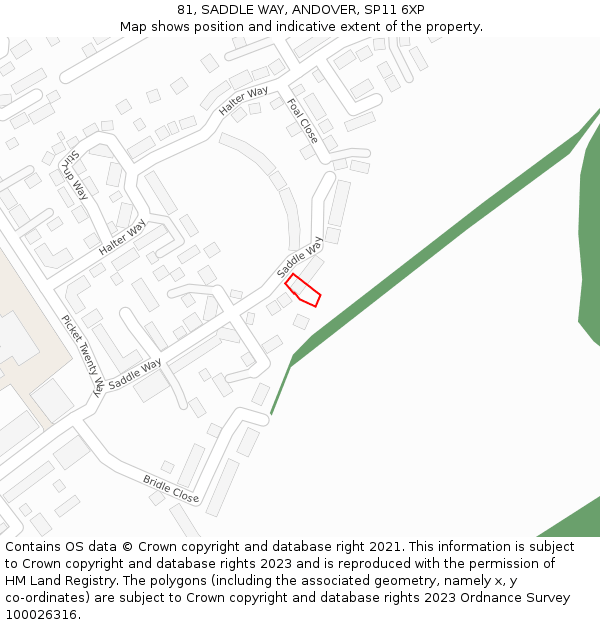 81, SADDLE WAY, ANDOVER, SP11 6XP: Location map and indicative extent of plot