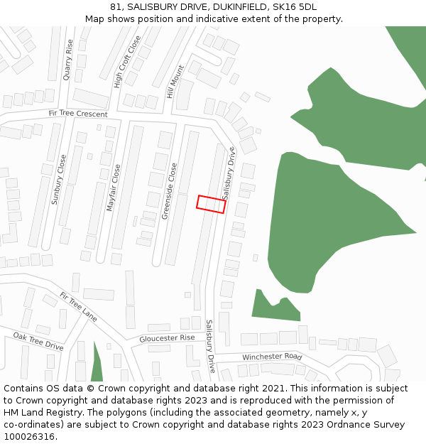 81, SALISBURY DRIVE, DUKINFIELD, SK16 5DL: Location map and indicative extent of plot