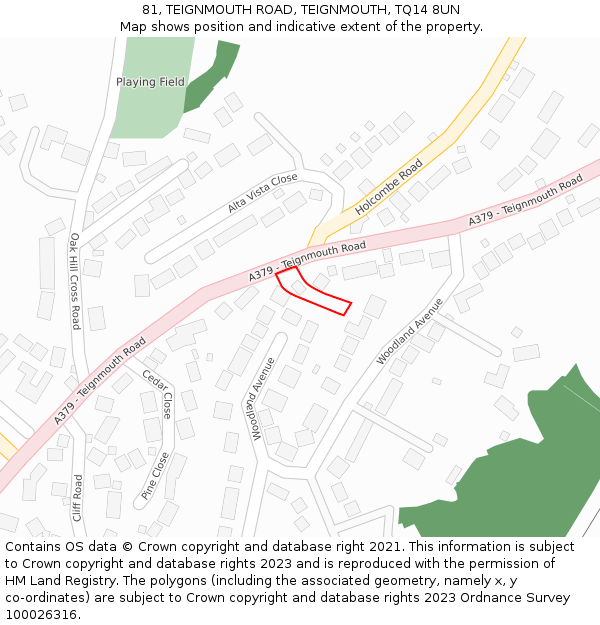 81, TEIGNMOUTH ROAD, TEIGNMOUTH, TQ14 8UN: Location map and indicative extent of plot