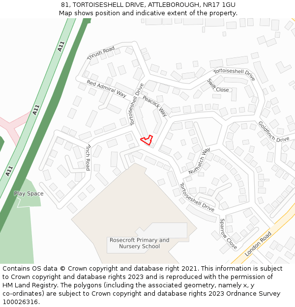 81, TORTOISESHELL DRIVE, ATTLEBOROUGH, NR17 1GU: Location map and indicative extent of plot