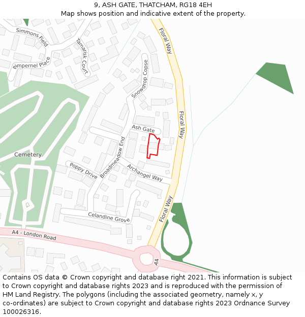 9, ASH GATE, THATCHAM, RG18 4EH: Location map and indicative extent of plot