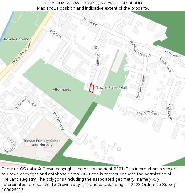 9, BARN MEADOW, TROWSE, NORWICH, NR14 8UB: Location map and indicative extent of plot