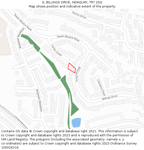 9, BILLINGS DRIVE, NEWQUAY, TR7 2SQ: Location map and indicative extent of plot