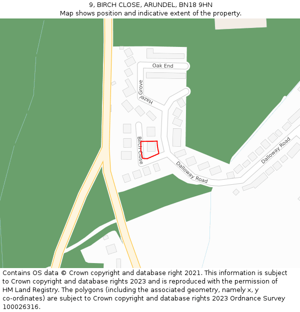 9, BIRCH CLOSE, ARUNDEL, BN18 9HN: Location map and indicative extent of plot