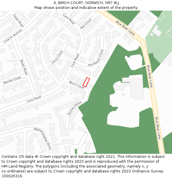 9, BIRCH COURT, NORWICH, NR7 8LJ: Location map and indicative extent of plot