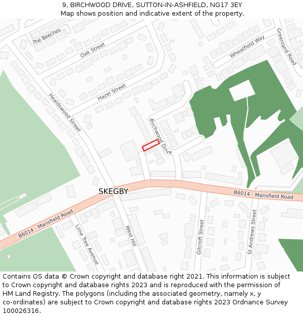 9, BIRCHWOOD DRIVE, SUTTON-IN-ASHFIELD, NG17 3EY: Location map and indicative extent of plot