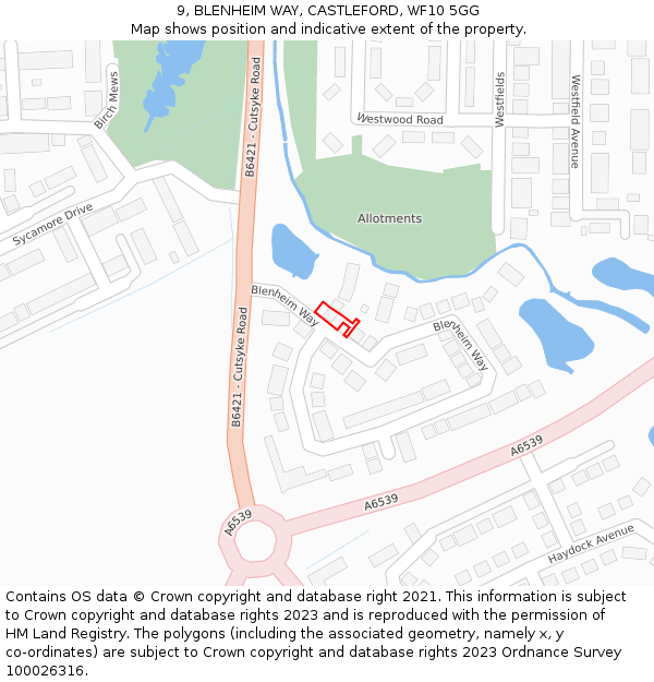 9, BLENHEIM WAY, CASTLEFORD, WF10 5GG: Location map and indicative extent of plot