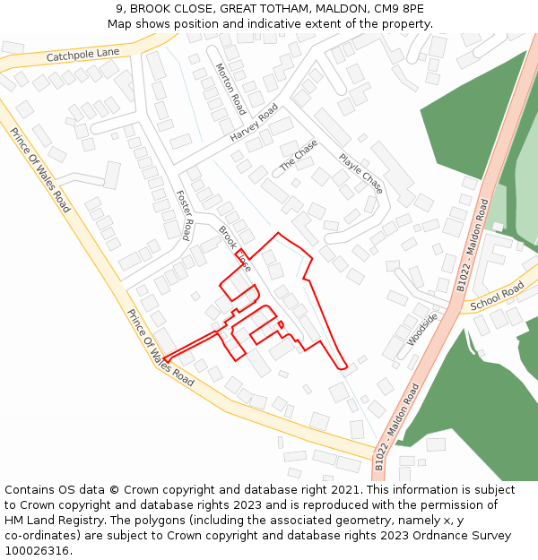 9, BROOK CLOSE, GREAT TOTHAM, MALDON, CM9 8PE: Location map and indicative extent of plot