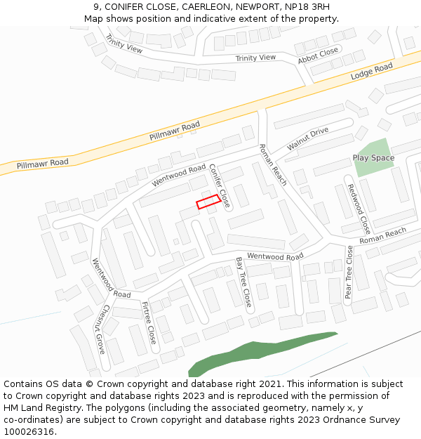 9, CONIFER CLOSE, CAERLEON, NEWPORT, NP18 3RH: Location map and indicative extent of plot