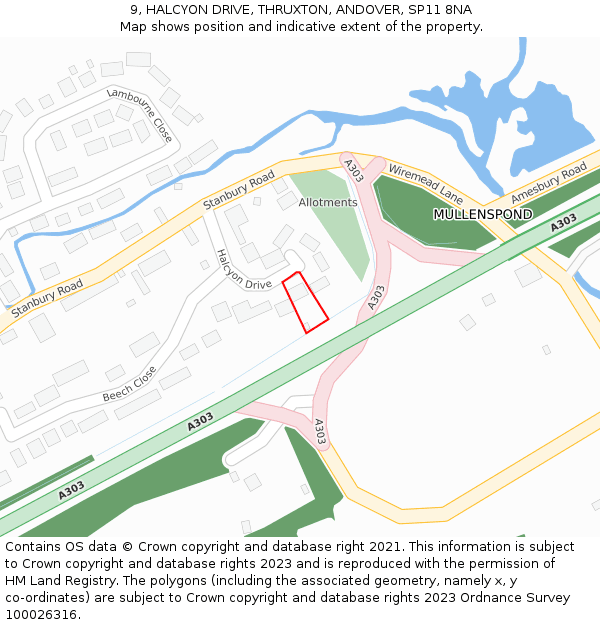 9, HALCYON DRIVE, THRUXTON, ANDOVER, SP11 8NA: Location map and indicative extent of plot