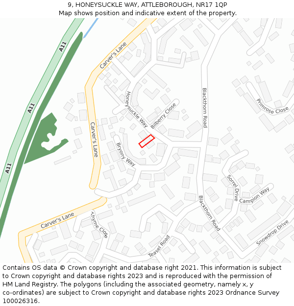 9, HONEYSUCKLE WAY, ATTLEBOROUGH, NR17 1QP: Location map and indicative extent of plot